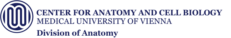 Center for Anatomy and Cell Biology, Medical University of Vienna - Division of Anatomy